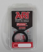 ariete1