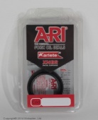 ariete1