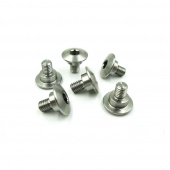 Fork Guard Bolt
