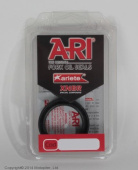 ariete1